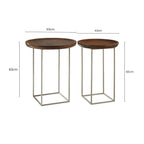 Natural Wooden and Silver Finish Set of 2 Side Tables