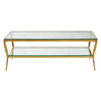 Clear Glass 2 Tier Coffee Table with Gold Finish Frame
