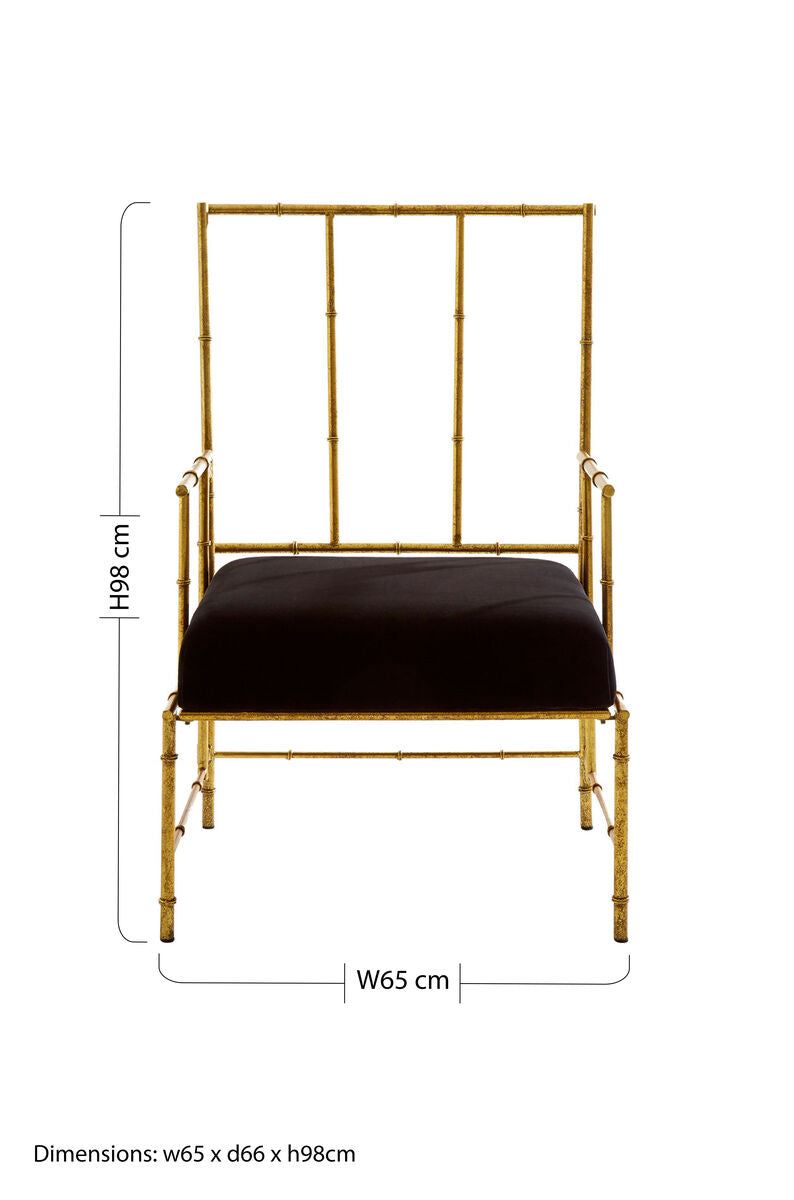 Black and Gold Velvet Accent Chair with Metal Frame