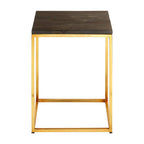 Dark Petrified Wood and Brass Finish Square Side Table