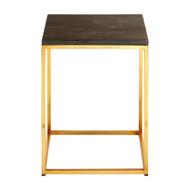 Dark Petrified Wood and Brass Finish Square Side Table