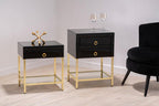 Gloss Black Wooden Cabinet Side Table with 2 Drawers and Gold Metal Frame