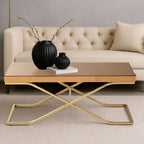 Brown Mirrored Coffee Table