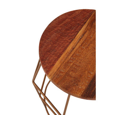 Recycled Wood and Antique Brass Finish Side Table