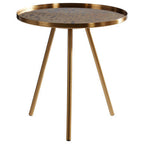 Gold Finish Side Table with Antique Glass Top
