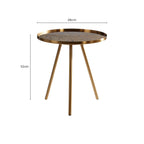 Gold Finish Side Table with Antique Glass Top