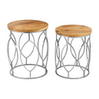Natural Mango Wood and Silver Finish Set of 2 Side Tables