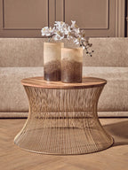 Mango Wood and Gold Finish Coffee Table
