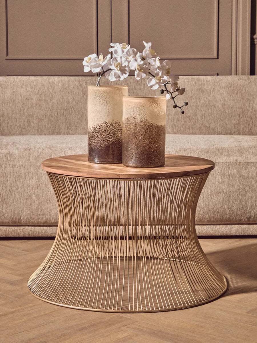 Mango Wood and Gold Finish Coffee Table