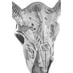 Wall Mounted Skull