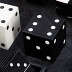 Black and White Dice Box with 5 Dice