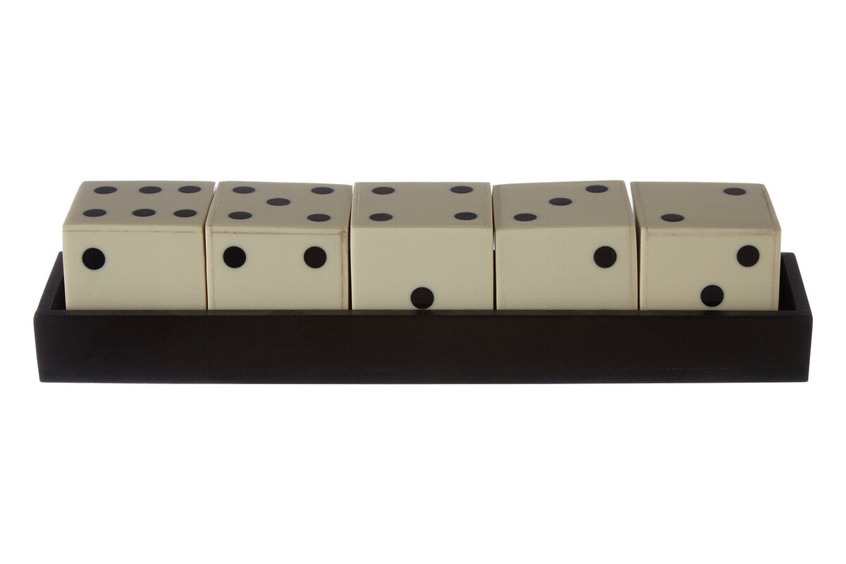 White and Black 5 Dice Set