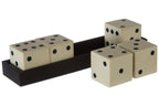 White and Black 5 Dice Set
