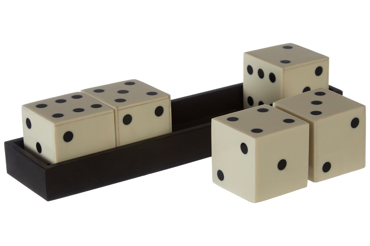 White and Black 5 Dice Set