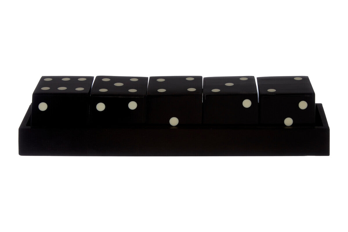 Black and White 5 Dice Set