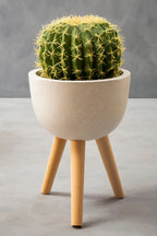Small White Finish Rounded Planter