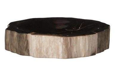 Petrified Wood Bowl