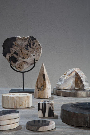 Petrified Wood Bowl