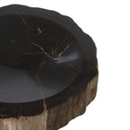 Petrified Wood Bowl