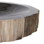 Petrified Wood Bowl