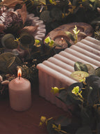 Petrified Wood Double Candle Holder