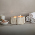 Petrified Wood Double Candle Holder