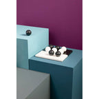 Black and White Tic Tac Toe Marble Game