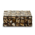 Small Natural Shell Detail Box