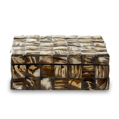 Small Natural Shell Detail Box