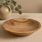 Petrified Wood Small Bowl