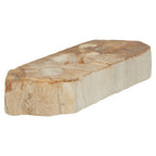 Petrified Wood 3 Tealight Holder