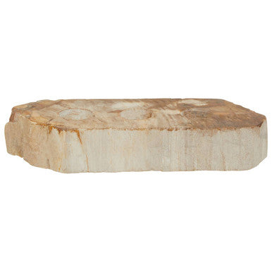 Petrified Wood 3 Tealight Holder