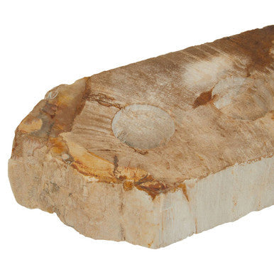 Petrified Wood 3 Tealight Holder