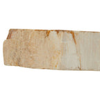 Petrified Wood 3 Tealight Holder