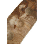 Petrified Wood 3 Tealight Holder