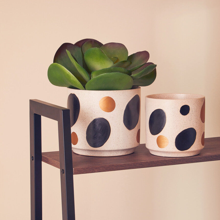 White and Gold Spotted Planter