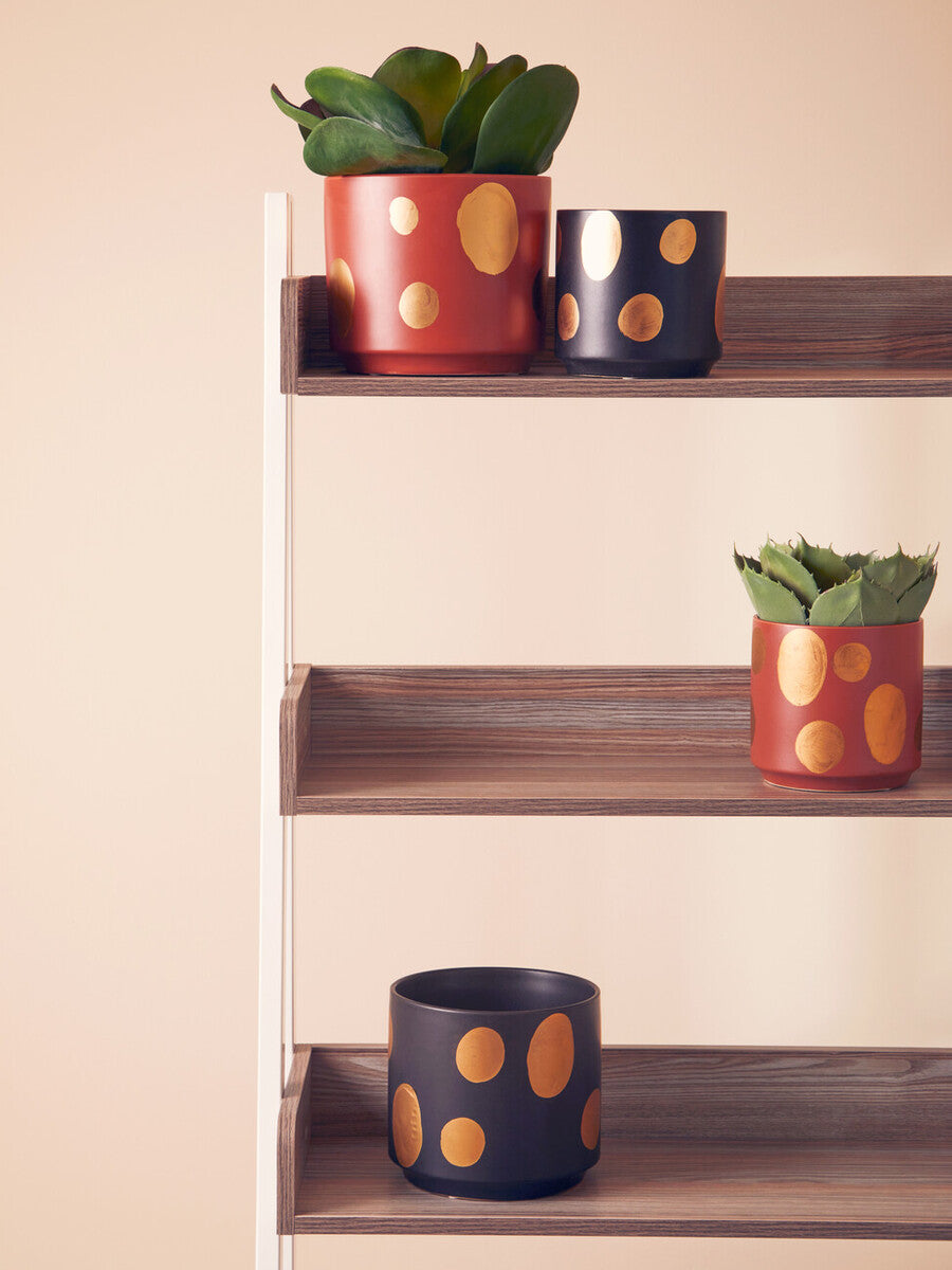 Small Terracotta Gold Spotted Planter