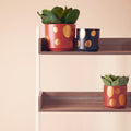 Small Terracotta Gold Spotted Planter
