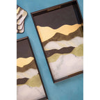 Set of Two Assorted Colour Rectangular Trays