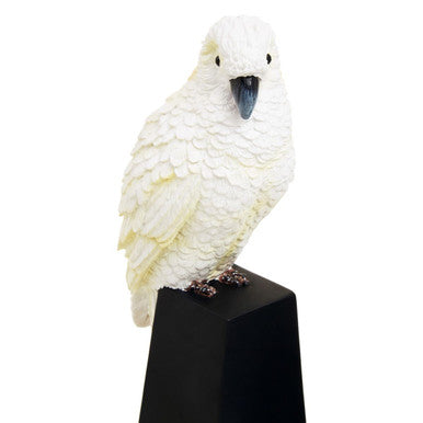 Set of Two Parrot Bookends