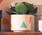 Large Abstract Planter
