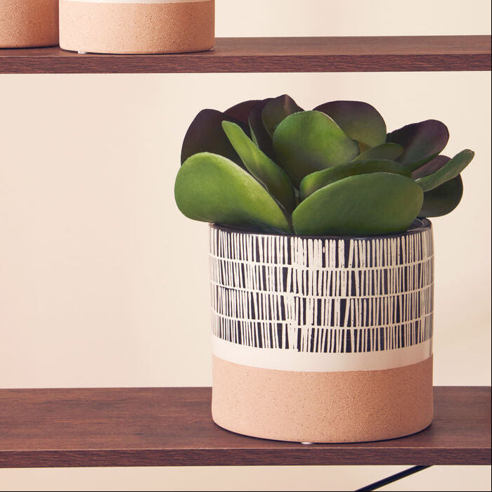 Large Striped Planter