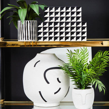 Black and White Vase