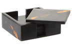 Set of 4 Tortoise Shell Resin Coasters with Storage Box