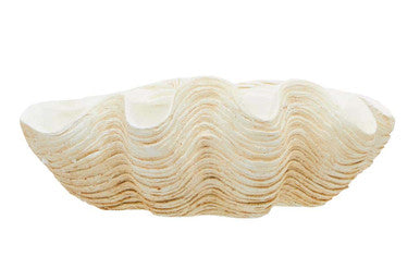 Large Clam Shell Bowl