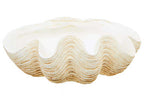 Large Clam Shell Bowl