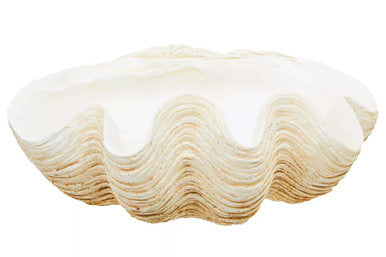 Large Clam Shell Bowl