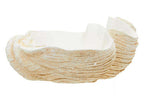 Large Clam Shell Bowl
