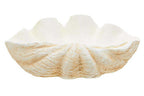 Large Clam Shell Bowl