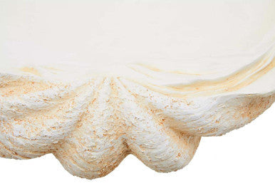 Large Clam Shell Bowl